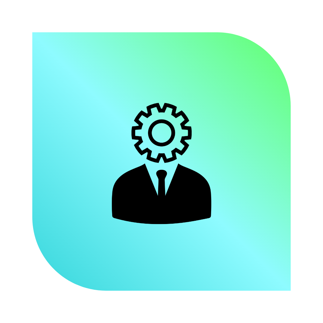 Ecom Luxx Shopify store management